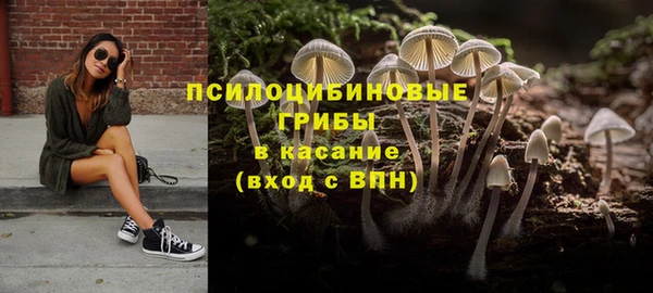 хмурый Пересвет