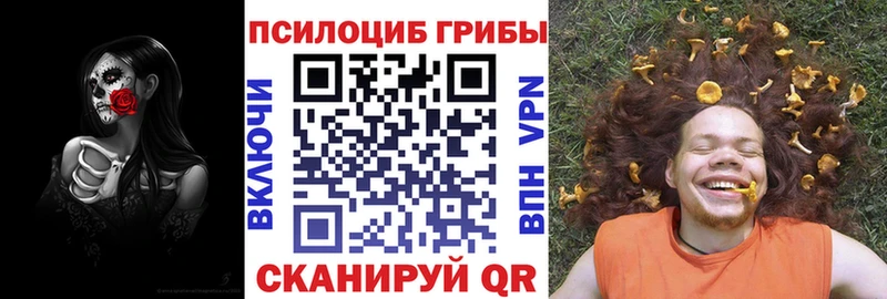 купить закладку Котельники Псилоцибиновые грибы MAGIC MUSHROOMS